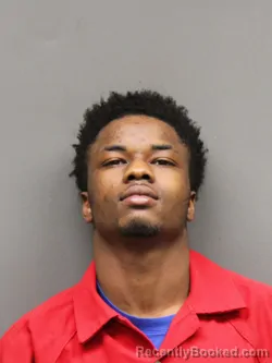 Mugshot of MARTIECE LAMOND RICHARDSON