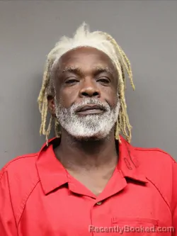 Mugshot of SHANNON THOMAS