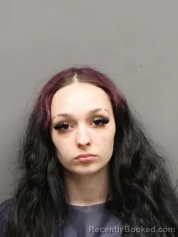 Mugshot of BRILEIGH NICOLE HENDERSON booked in Hinds County, Mississippi on March 16, 2026