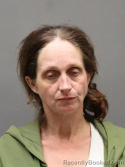 Mugshot of DEBRA ANDERSON booked in Hinds County, Mississippi on March 20, 2026