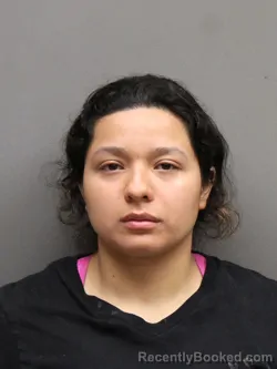 Mugshot of HEYDI ALEMAN booked in Hinds County, Mississippi on March 26, 2026