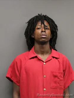 Mugshot of WILLIE TYLER JR booked in Hinds County, Mississippi on March 29, 2026