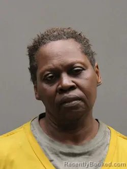 Mugshot of CHRISTINE NEWSOM booked in Hinds County, Mississippi on March 29, 2026