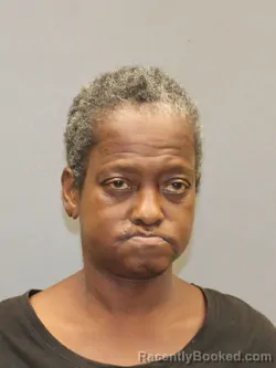 Mugshot of Nicole Ann Bracey booked in Hinds County, Mississippi on August 20, 2026