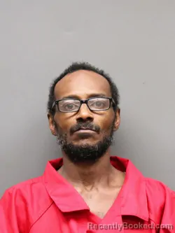 Mugshot of EVERETT LEE WALLS