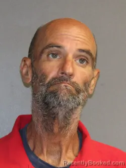 Mugshot of TODD BRYAN HIGGINS