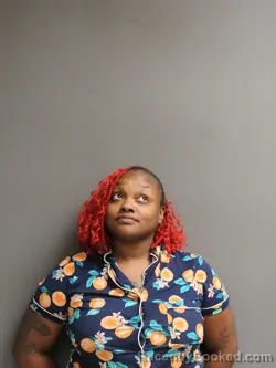 Mugshot of Shaquilla Marie Tucker booked in Hinds County, Mississippi on September 8, 2026
