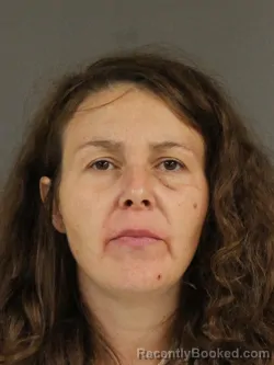 Mugshot of JOHNNA DAWN BROCK booked in Hinds County, Mississippi on April 29, 2026