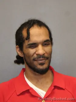 Mugshot of TED D'ANGELO HARRIS