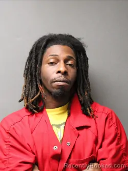 Mugshot of TERRY DESHUN SIMS