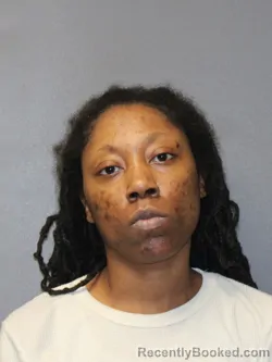 Mugshot of Deeia Cherelle Williams booked in Hinds County, Mississippi on August 28, 2026