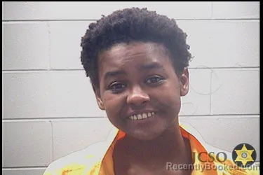 Mugshot of ROBERT STANLEY MCCREE