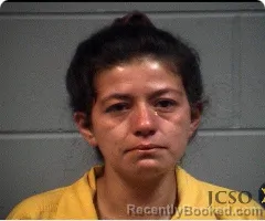 Mugshot of MARITZA L ZARAGOZA booked in Jackson County, Mississippi on April 11, 2026