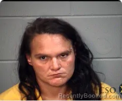 Mugshot of SHANNON N DAVIS booked in Jackson County, Mississippi on June 2, 2026