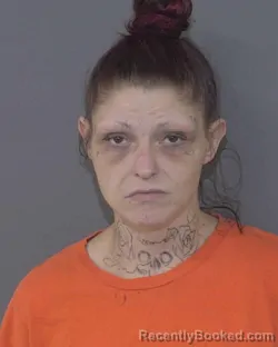 Mugshot of MISTY JANE DAVIS booked in Union County, North Carolina on June 12, 2026