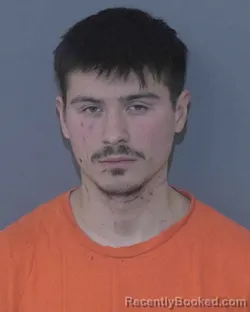 Booking photo from Union County, North Carolina