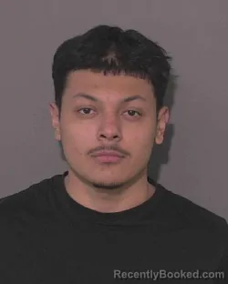 Mugshot of FRANCISCO ANTONIO ZAPATA