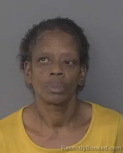 Mugshot of Lena Michelle Elliott booked in Union County, North Carolina on August 2, 2026