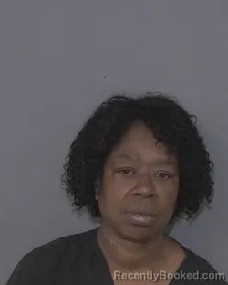 Mugshot of Barbara Ann Howard booked in Union County, North Carolina on September 15, 2026