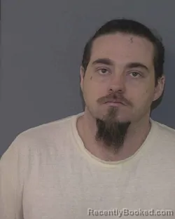 Mugshot of NICHOLAS DAVID ETHINGTON