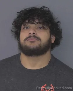 Mugshot of JOEL NATHANIEL PEREZ-COREA