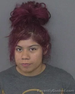 Mugshot of Merari Gamboa booked in Union County, North Carolina on October 28, 2026
