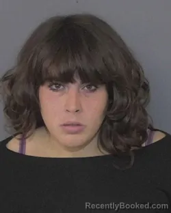 Mugshot of LEANNA MARIA HARDISON booked in Union County, North Carolina on April 26, 2026