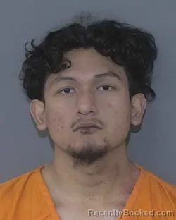 Mugshot of ERICK MAURICIO AVELAR