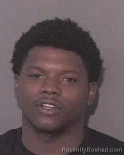 Mugshot of DVONNE MARQUIS TYSON