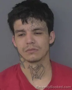 Mugshot of LUIS ENRIQUE VARGAS