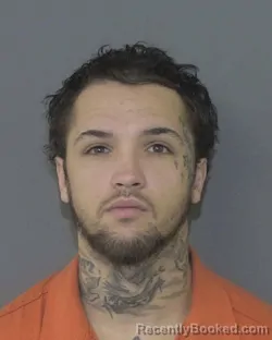 Mugshot of ALAN WAYNE VANHOOSE