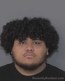 Mugshot of ANDERSON DENIERY RUIZ LOPEZ