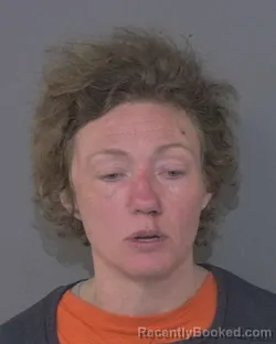 Booking photo from Union County, North Carolina