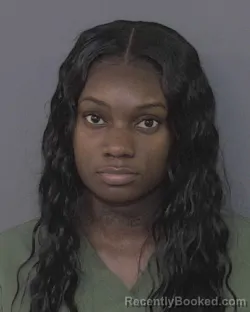 Mugshot of Raven Bryanna Wells booked in Union County, North Carolina on August 3, 2026