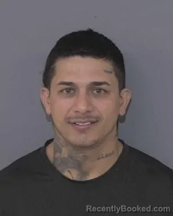 Mugshot of ANDRES MOLANO BERMUDES