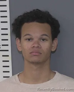 Mugshot of DAYTON LOVELL YOUNG