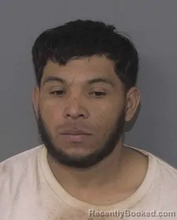 Mugshot of WILMER OVANDO VASQUEZ-AYESTAS
