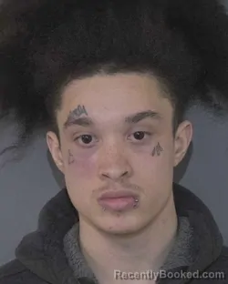 Mugshot of DAYMON MARQUIS POWELL