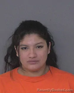 Mugshot of DALIA VERONICA ESCUTIA