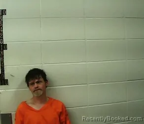 Mugshot of RANDY LYNN BELLIZIO