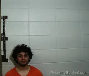 Mugshot of ALEXANDER DEL PILAR TRUJILLO booked in Jasper County, Mississippi on April 14, 2026