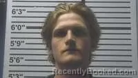 Mugshot of BRAYDON WEBB