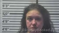 Mugshot of BRIANNA MCLEMORE