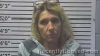 Mugshot of TONYA HOLDER