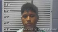 Mugshot of NICOLAS DOMINGO booked in Jones County, Mississippi on July 25, 2026