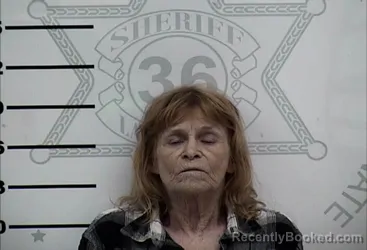 Mugshot of LISA BIRDSONG HALE