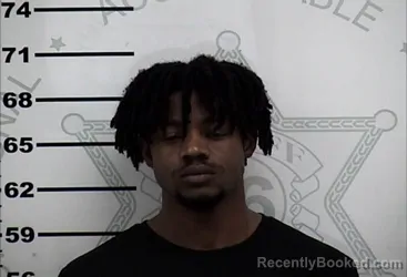 Mugshot of JOHNNY B HIBBLER