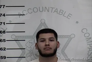 Mugshot of ALAN RAMIREZ