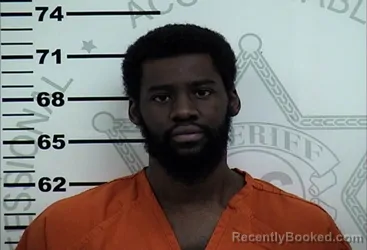 Mugshot of NICHOLAS CAMERON BRIDGES