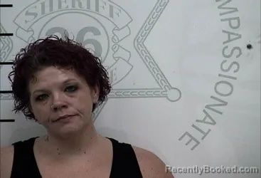 Mugshot of AMBER NICOLE BLASENDORF